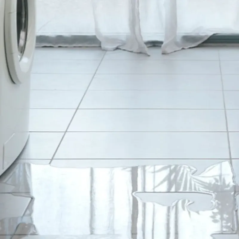 Appliance Leak Cleanup in Aiken County, SC