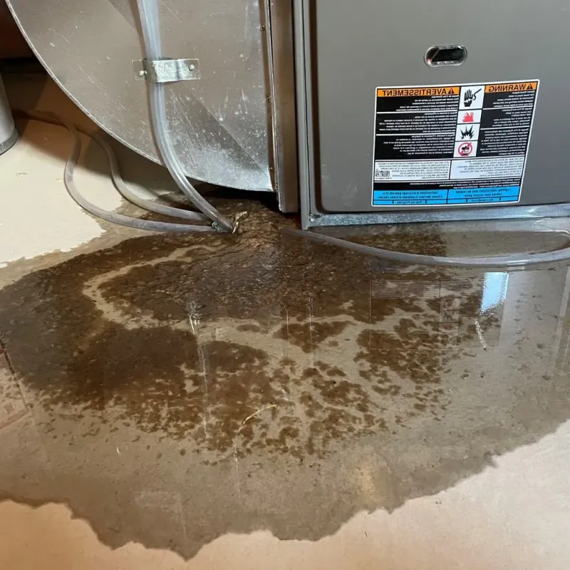 Pipe Burst and Leak Restoration in Aiken County, SC